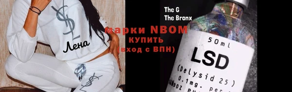 молекула духа Вязьма