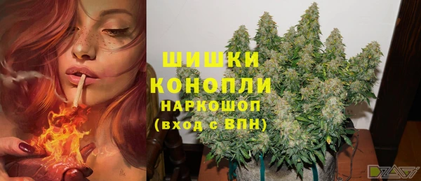 ALPHA-PVP Вяземский
