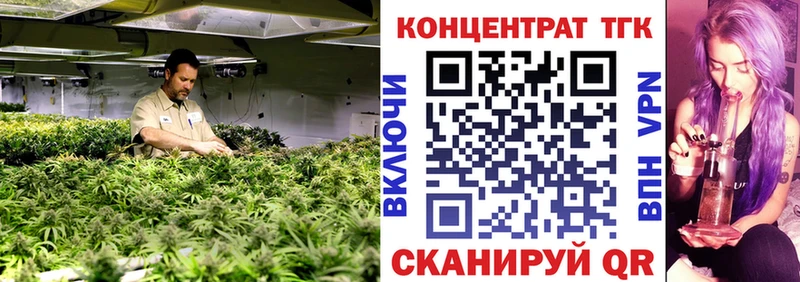 ТГК концентрат Шадринск