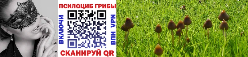 где продают   ОМГ ОМГ tor  Галлюциногенные грибы мицелий  Шадринск 